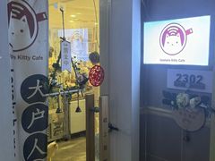 -楼上猫咖(罗湖店)