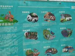 -泉州海丝野生动物世界