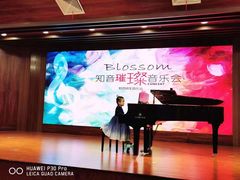 -知音艺术教育培训·钢琴培训·音乐培训(河西金鹰世界校区)
