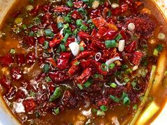 -龙翔山庄雷鸡肉(青城后山泰安古镇店)
