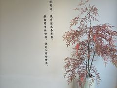 -小茶闲舍·观景商务茶馆(广州塔店)