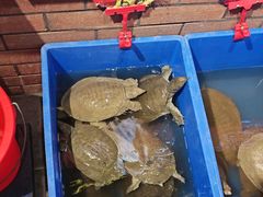 -状元甲·湖北甲鱼大王(汉口火车站店)