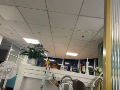 点击看大图 -章光101防脱养发荟