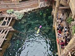 -长鹿旅游休博园