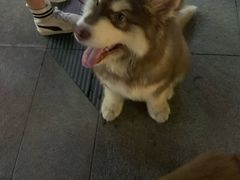 -金良酸菜鱼(宁海路总店)