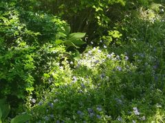 -中国公安部总部大楼