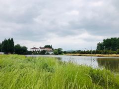 -同銮特种养殖场·龙虾垂钓