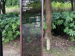 -上海市龙华烈士陵园