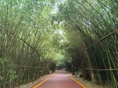 -西安汉城湖景区