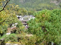 -塔川景区
