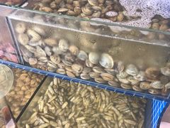 -蟹谢蒸鲜自助餐厅