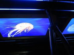 -海洋公园海洋列车－海滨站