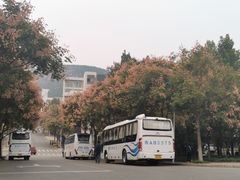 -山东艺术学院(长清校区)