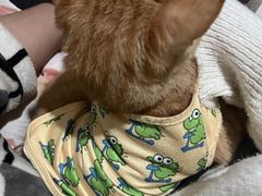 -FAELING PETS美天灵宠物(合生汇店)