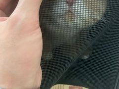 -美联众合动物医院·24h京西诊疗中心