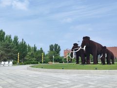 -大庆市博物馆