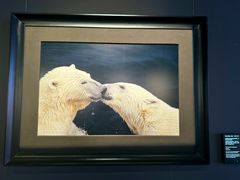 -罗红摄影艺术馆