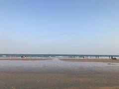 -日照海滨国家森林公园