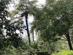-北极阁公园