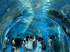 -波塞冬旅游度假区