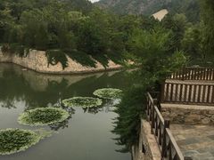 -望京楼flavor餐厅(古北水镇景区店)