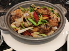 啫啫鸡煲-新兴·金羊座·粤菜点心(乐峰店)