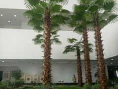 -佛山科学馆