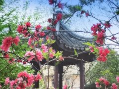 -君庭中餐厅(友谊宾馆店)