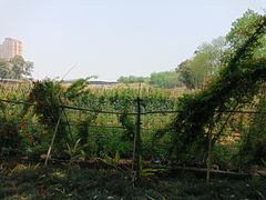 -三圣花乡旅游区