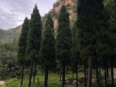 -环翠峪风景区