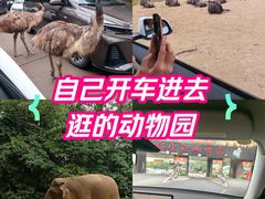 -广州长隆野生动物世界