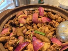 招牌胡须佬鸡煲-胡须佬鸡煲四季火锅店(石厦西村直营店)