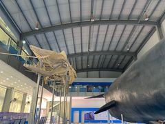 -上海海洋大学鱼文化博物馆(军工路校区)