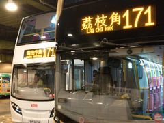 -Saint Laurent(海怡工贸店)