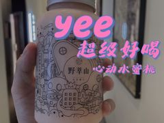 -野萃山·潮汕厚果汁(十亩地店)