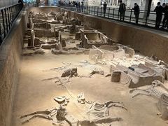 -洛阳周王城天子驾六博物馆