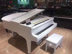 -柏斯音乐艺术中心·钢琴·吉他(世纪金源店)