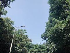 -火炉山森林公园