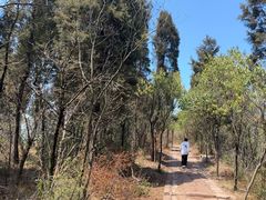 -金堂县云顶石城风景区