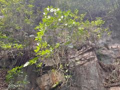 -广州市白云山风景名胜区