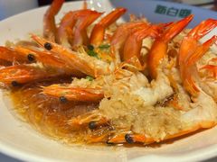 -新白鹿餐厅(金鹰新街口店)