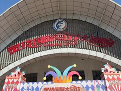 -灵玲国际马戏城