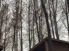 -林间山庄