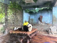 -海南热带野生动植物园