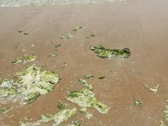 -青岛银沙滩温德姆至尊酒店