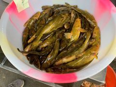 -彭大姐老店黄辣丁(新津店)