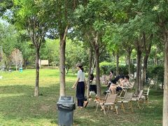 -爪吧宠物乐园 (温榆河示范区店)