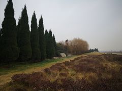 -秦始皇帝陵博物院-丽山园