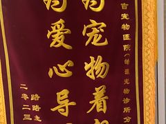 -艾吉宠物医院·疑难杂症转诊中心·猫友好(碧江路院)