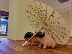 -春家·非遗手工小吃(徐汇万科广场店)